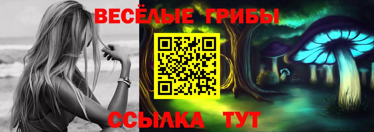 Псилоцибиновые грибы Magic Shrooms  Вход с VPN  Елец 